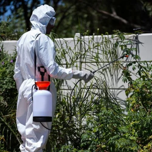 Controle de pombos no Recreio dos Bandeirantes