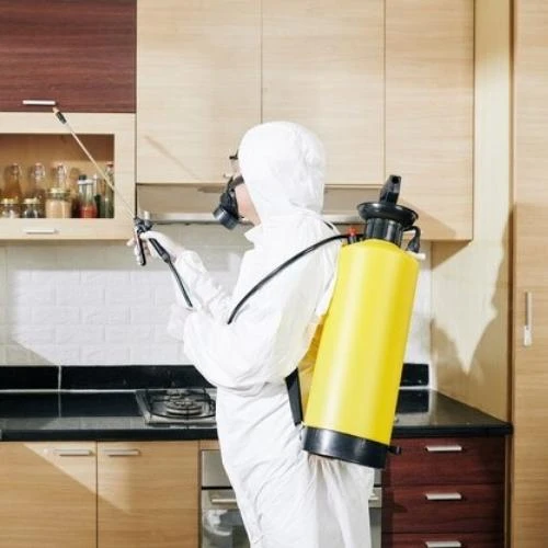 Controle de pragas em apartamentos