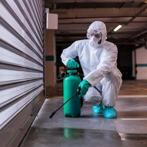 Controle de pragas na Barra da Tijuca