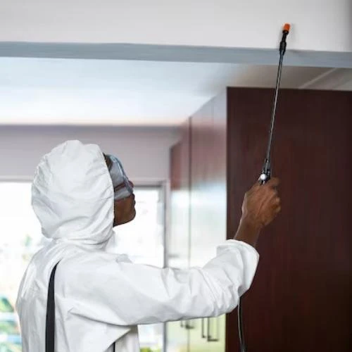 Controle de pragas residencial