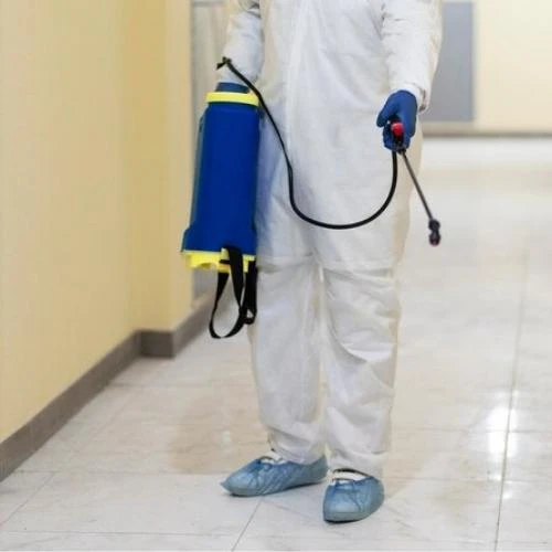 Dedetização de cupim na Barra da Tijuca