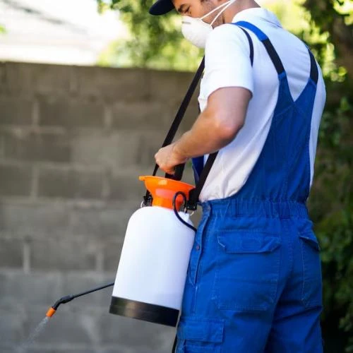 Imagem ilustrativa de Dedetização em empresas