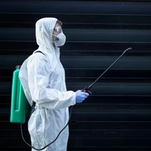 Dedetização de morcegos na Barra da Tijuca