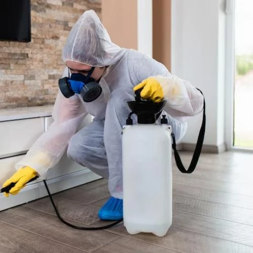 Dedetizadora de cupim na Barra da Tijuca