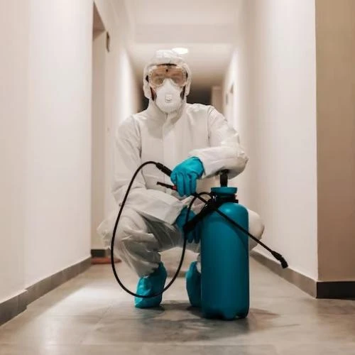 Dedetizadora de cupim no Recreio dos Bandeirantes