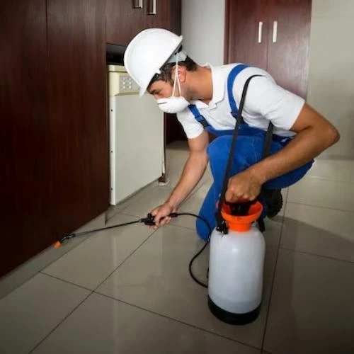 Desinsetização na Barra da Tijuca