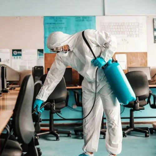 Desratização de lojas