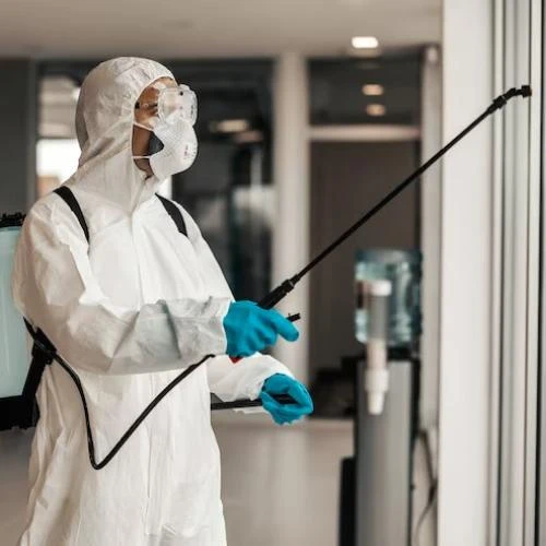 Empresa de controle de pragas na Barra da Tijuca