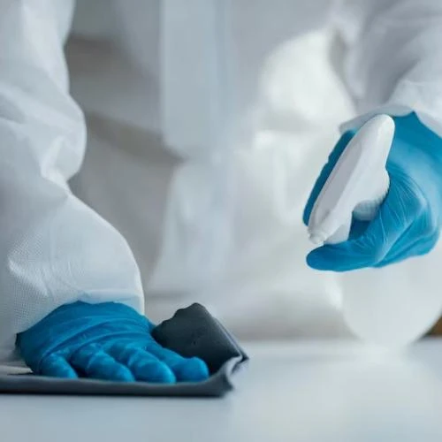 Empresa dedetizadora de cupim