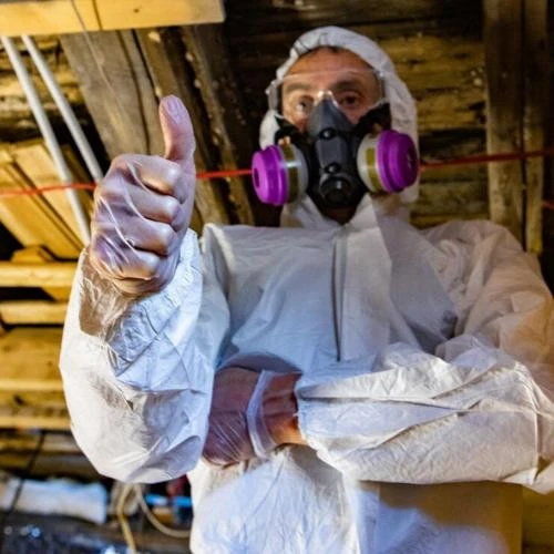 Empresa de desinsetização na Barra da Tijuca