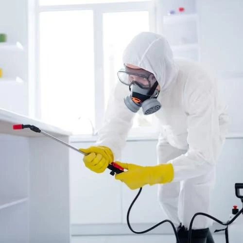 Empresa de desinsetização no Recreio dos Bandeirantes