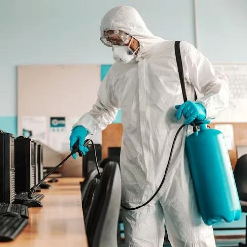 Empresa de desratização no Recreio dos Bandeirantes