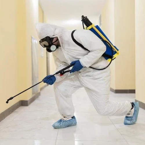 Empresa especializada em desratização