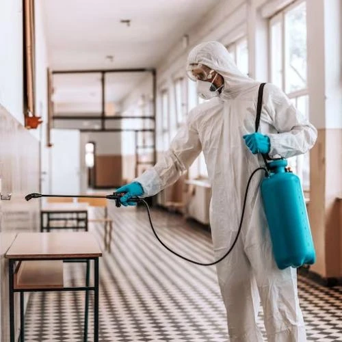 Orçamento de descupinização