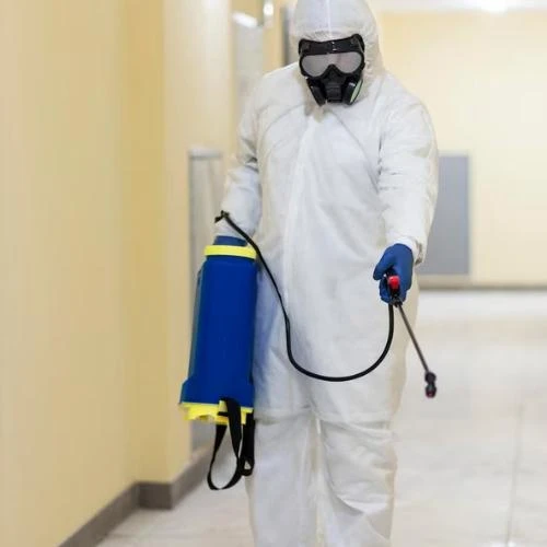 Serviço de dedetização de pragas