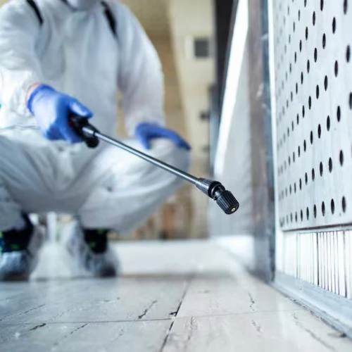 Serviços de desinsetização para indústrias